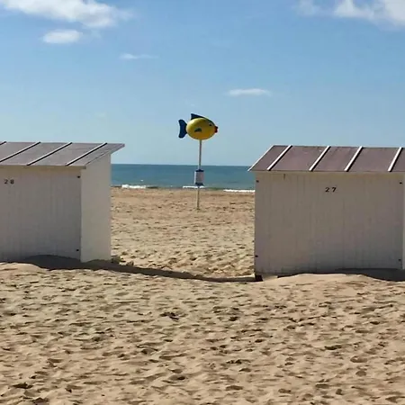 Apartamento In Near The