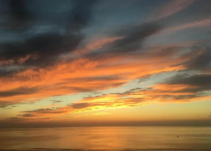 Apartment In Near The